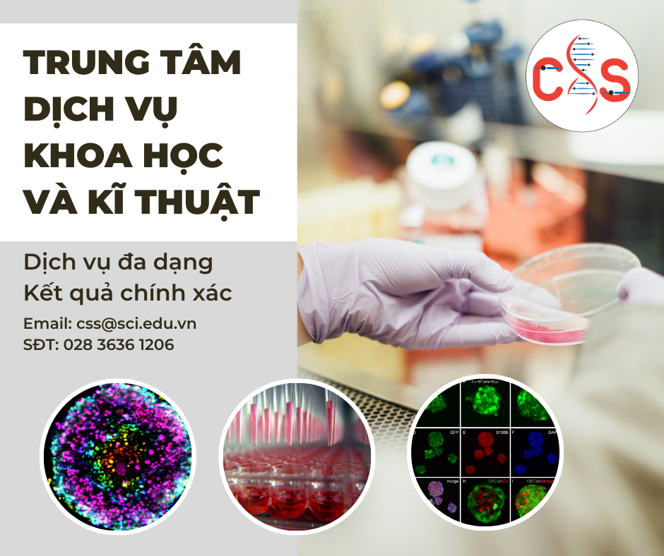 TRUNG TÂM DỊCH VỤ KHOA HỌC VÀ KĨ THUẬT – VIỆN TẾ BÀO GỐC CUNG CẤP NHIỀU DỊCH VỤ ĐÁNH GIÁ HOẠT TÍNH SINH HỌC CỦA CAO CHIẾT LÊN TẾ BÀO